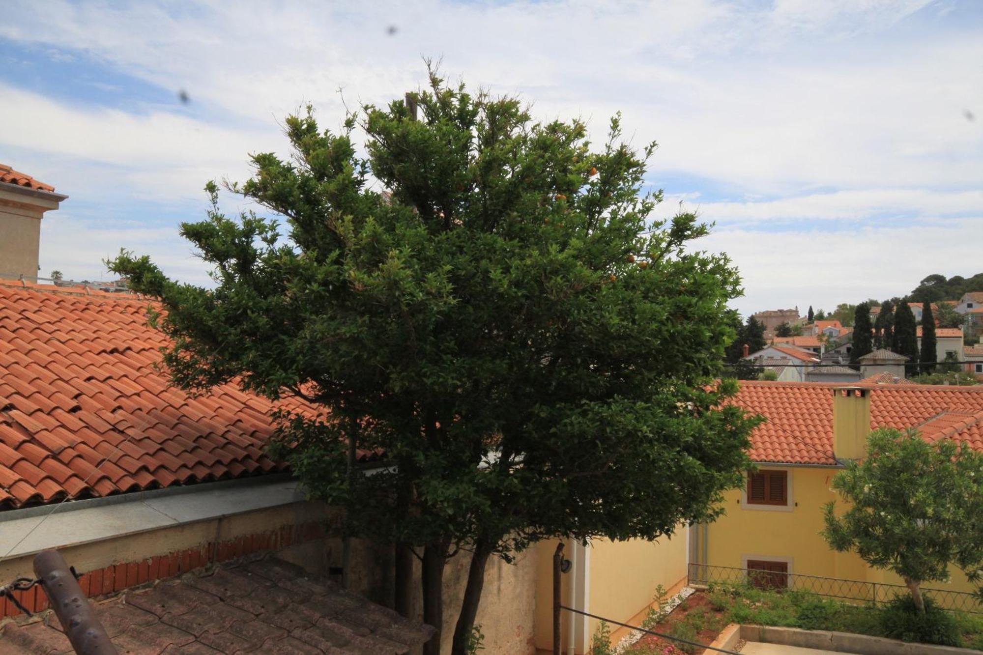 Apartments And Rooms With Parking Space Mali Lošinj Esterno foto